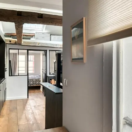Luxurious Flat - Square Du Temple In